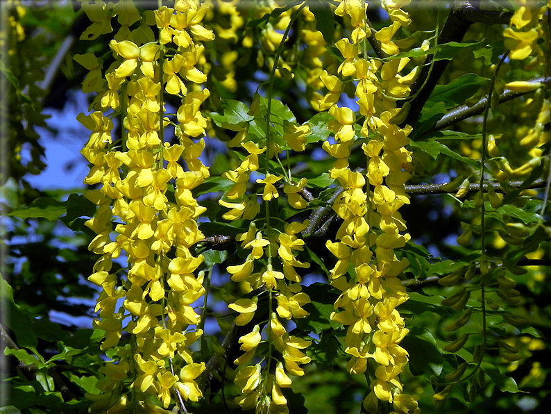 foto Croix Courma 